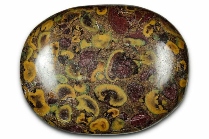 Polished Fruit Jasper Palm Stone - India #342246